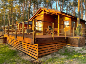 Domki Borsk - nowe, komfortowo wyposażone domki nad samym jeziorem Wdzydze w otoczeniu sosnowego lasu Borsk